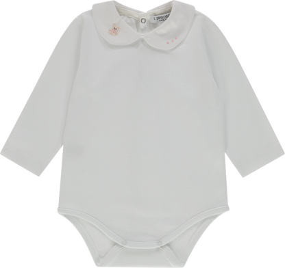 BODY - B1 RM