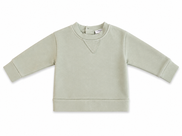FELPA - ICE
