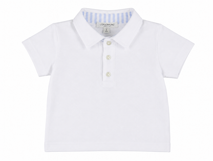 POLO - POLO 5/F